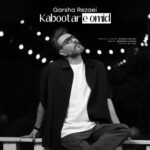 دانلود آهنگ گرشا رضایی به نام کبوتر امید